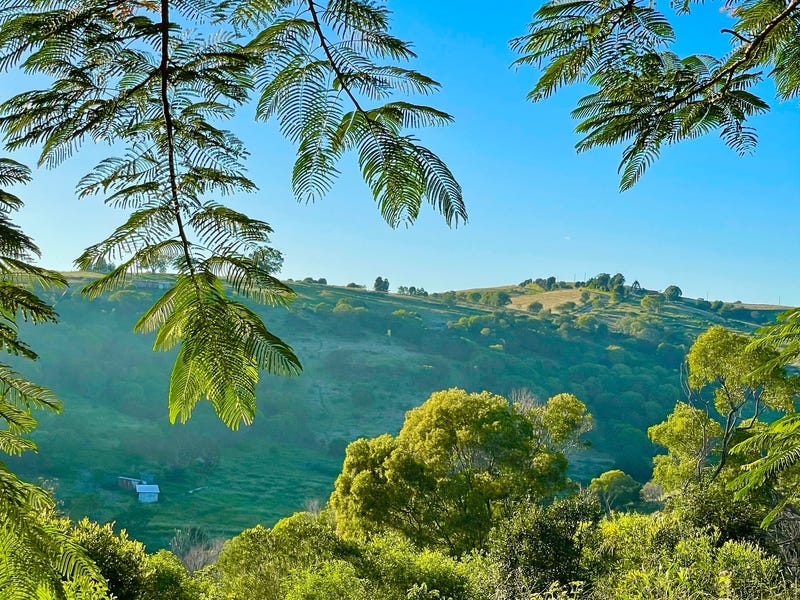 TREE CHANGE with magnificent views 30