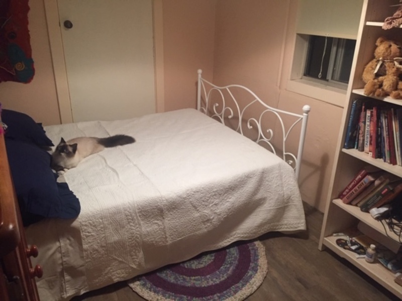 Rose Farm Cottage 12