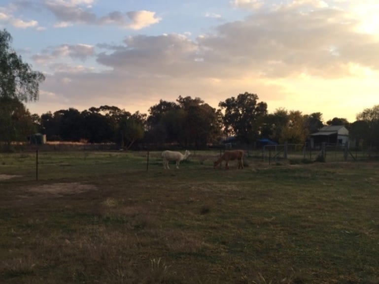 Rose Farm Cottage 18