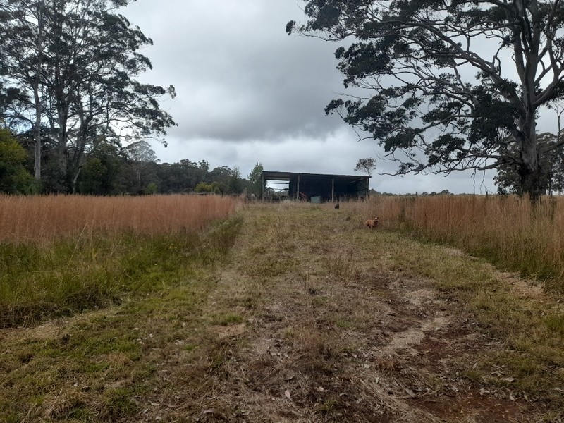 Fertile 100 acres with large 7