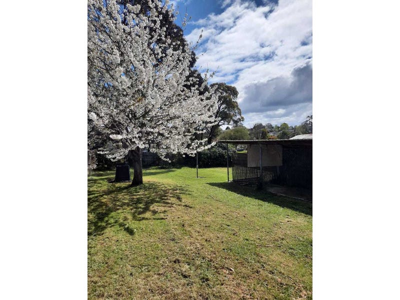 Freshly renovated, family home 9