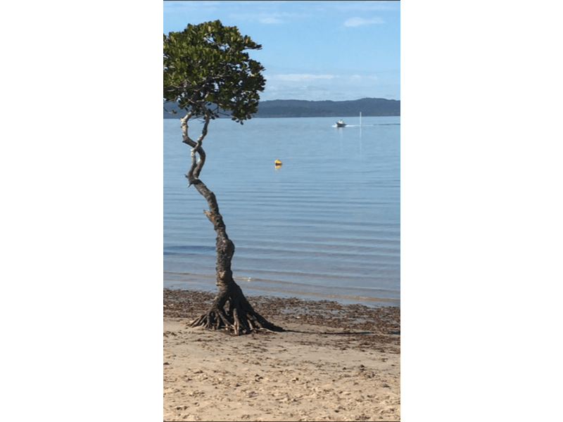 SEASIDE PARADISE –  SOLD! 7