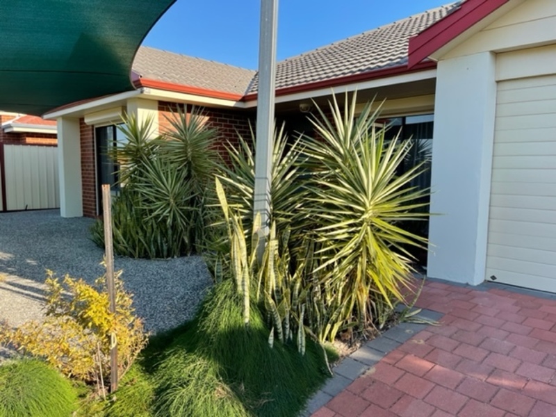 UNDER OFFER: INVESTORS DREAM Immaculate 3