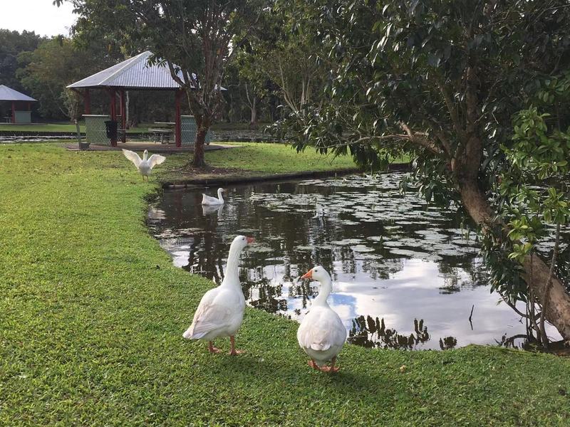 Large Family Home Innisfail 25