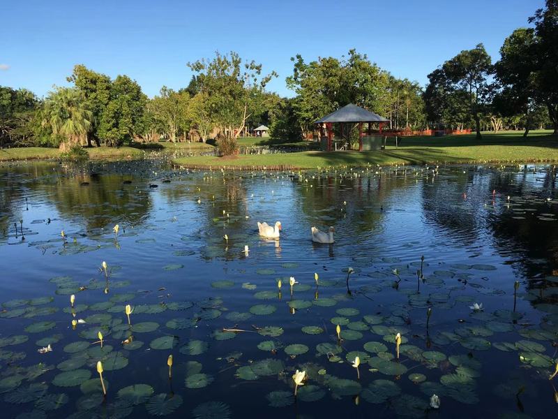 Large Family Home Innisfail 26