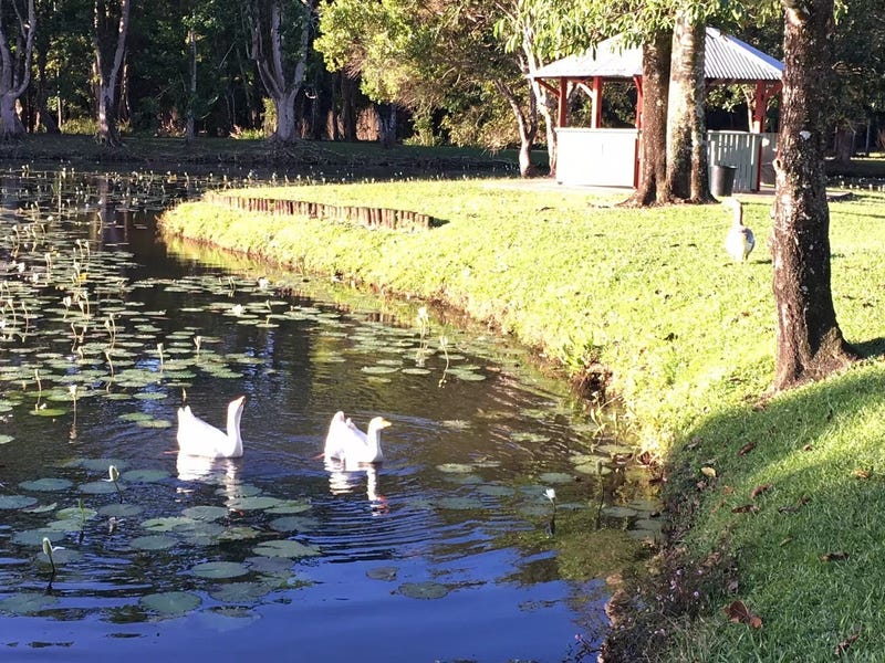 Large Family Home Innisfail 27