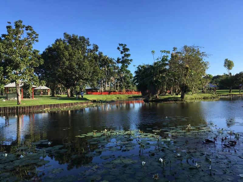 Large Family Home Innisfail 30