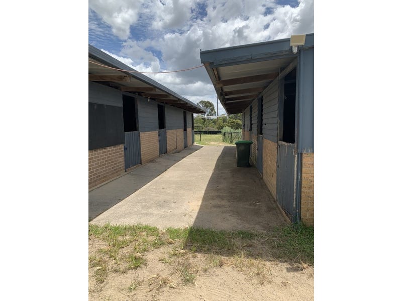 Horse heaven or investors searching 3