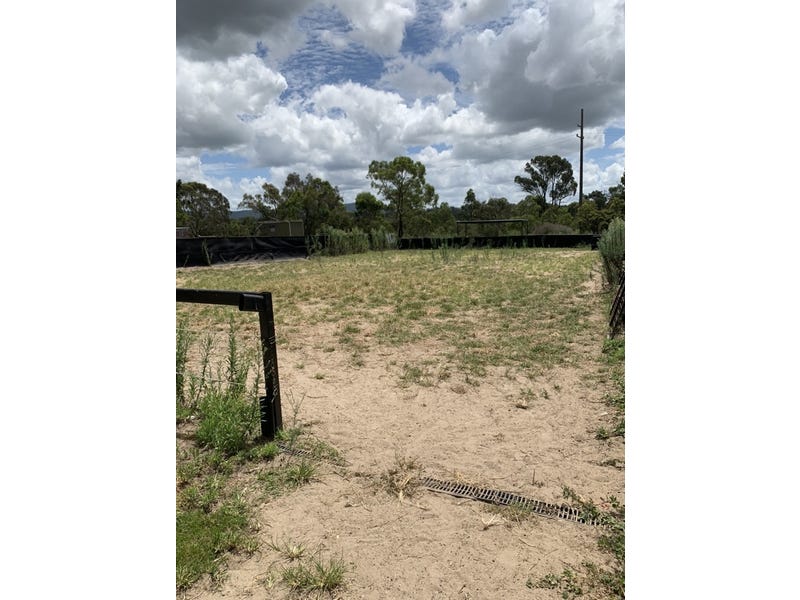 Horse heaven or investors searching 10