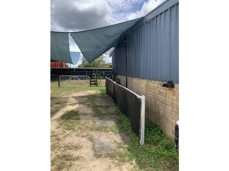 Horse heaven or investors searching 11