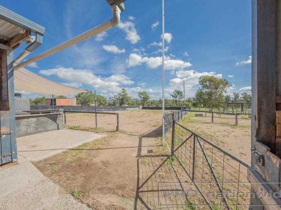 Horse heaven or investors searching 15