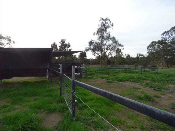 Horse heaven or investors searching 16