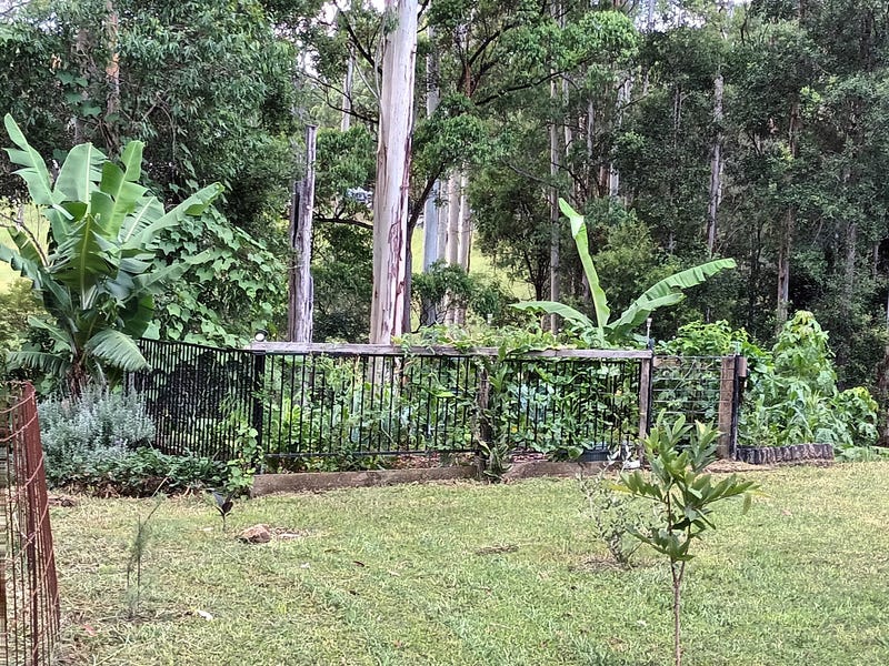 Acres on the MidNorth Coast 2