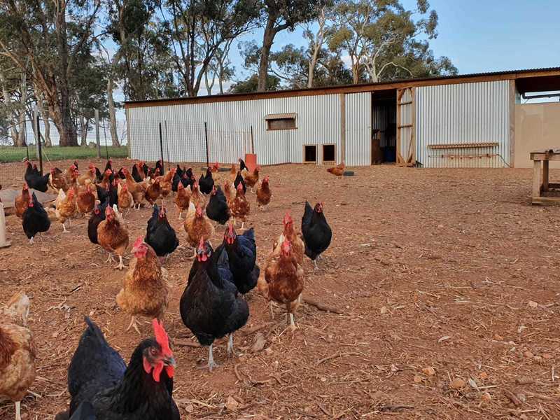 Expression of Interest ending 31st 5