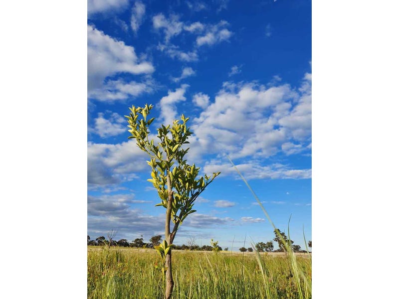 Expression of Interest ending 31st 7