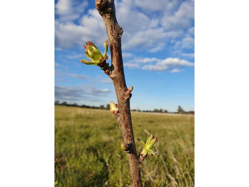 Expression of Interest ending 31st 8