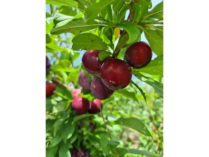 Expression of Interest ending 31st 18