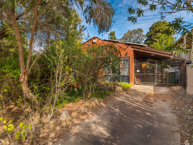 Character home within suburban jungle