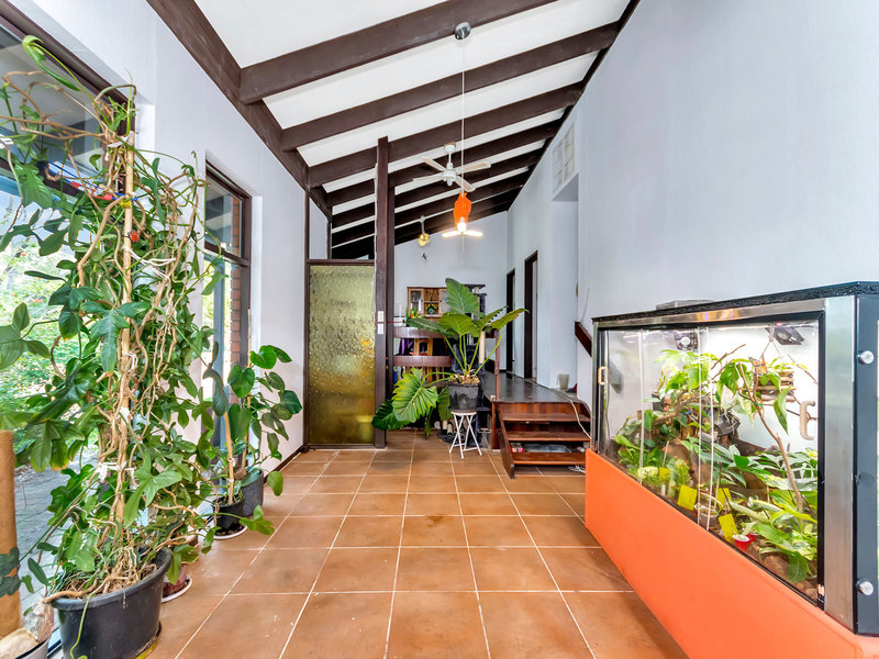 Character home within suburban jungle 3