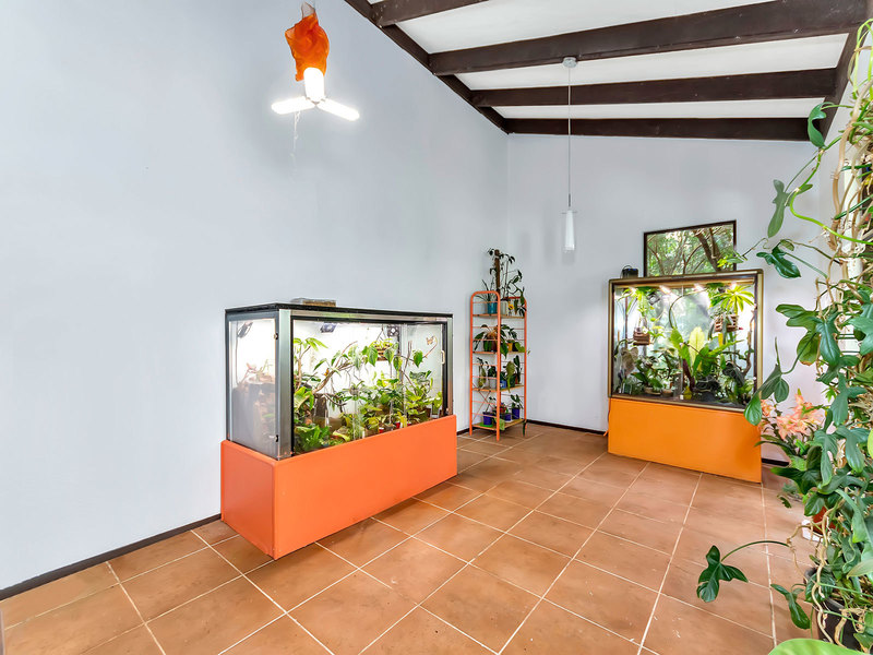Character home within suburban jungle 4