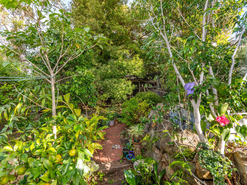 Character home within suburban jungle 22
