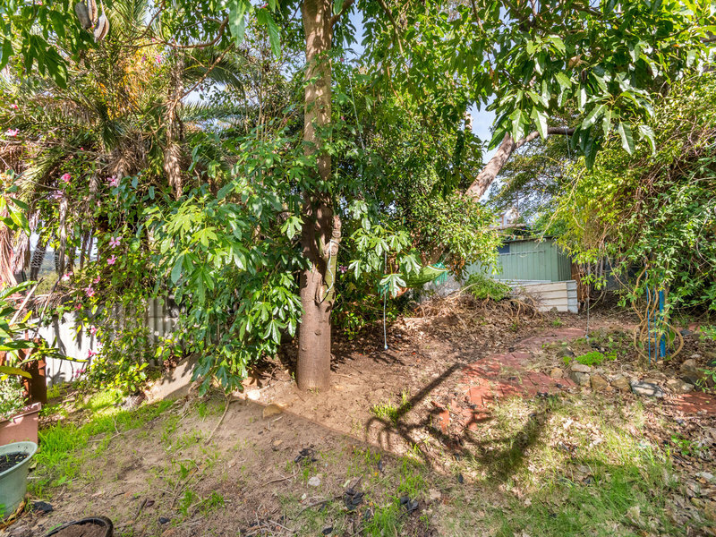 Character home within suburban jungle 23