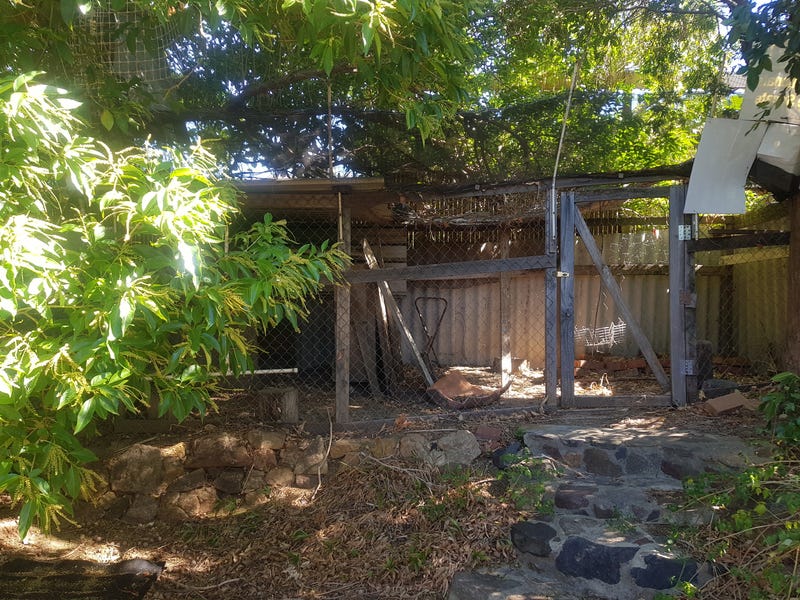 Character home within suburban jungle 27