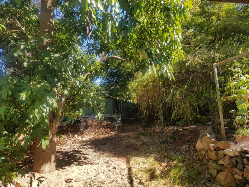 Character home within suburban jungle 28