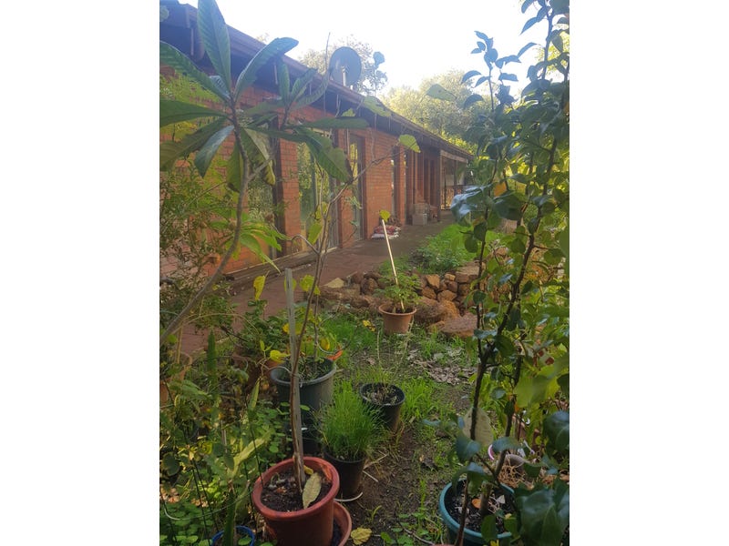 Character home within suburban jungle 29
