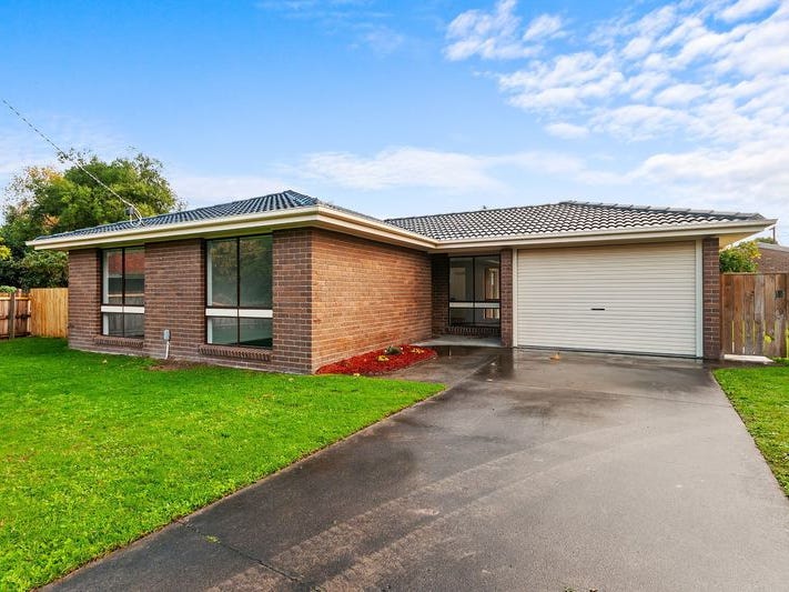 Newly Renovated Bright and Spacious Home