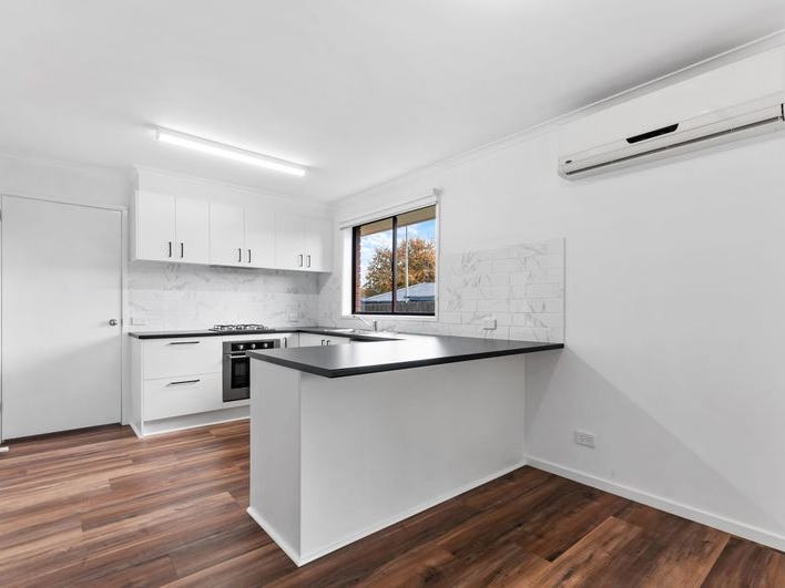 Newly Renovated Bright and Spacious 5