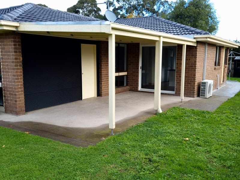 Newly Renovated Bright and Spacious 14