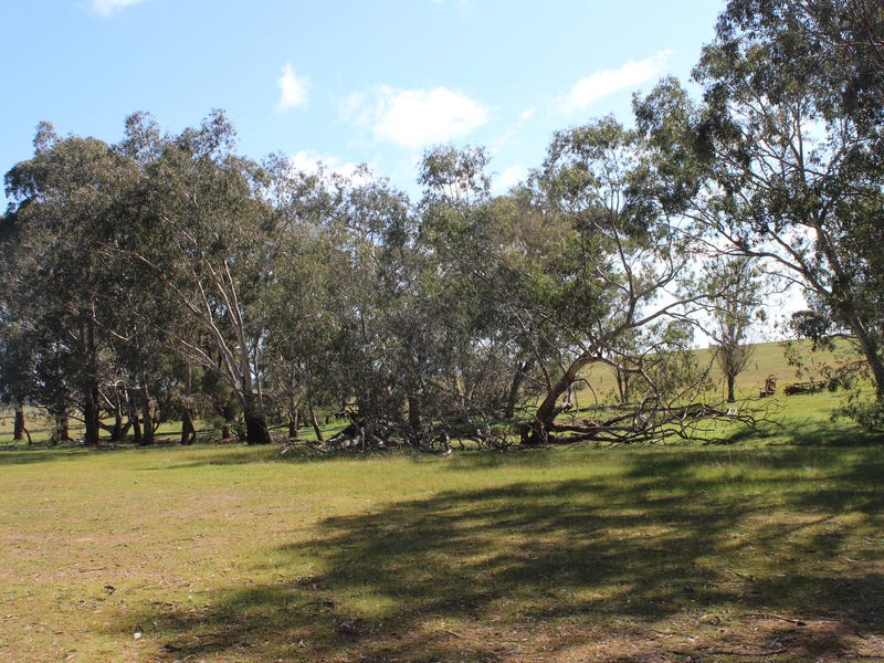 Secluded Acreage with Council Planning Permit