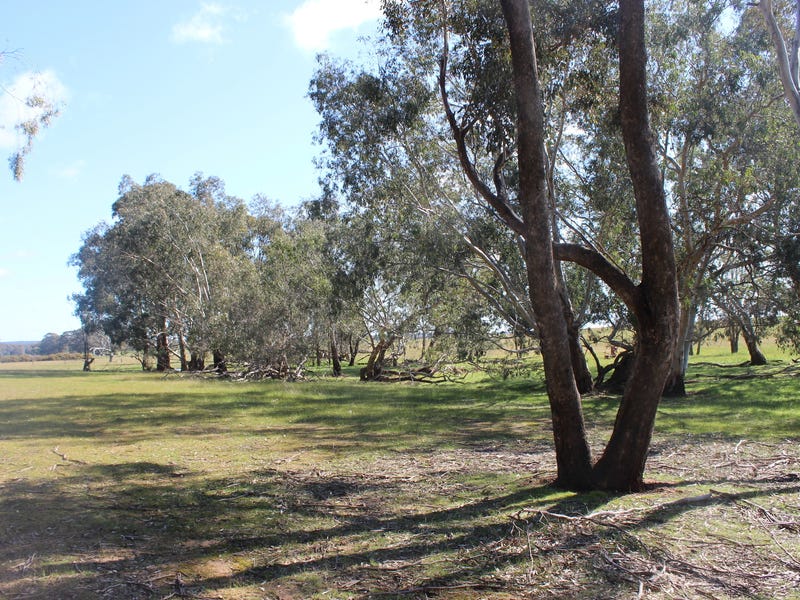 Secluded Acreage with Council Planning 2