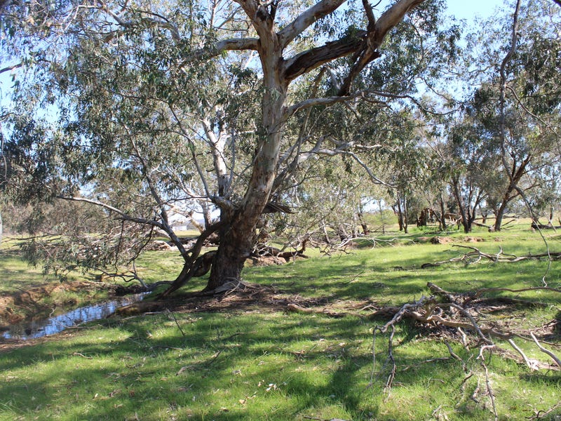 Secluded Acreage with Council Planning 4