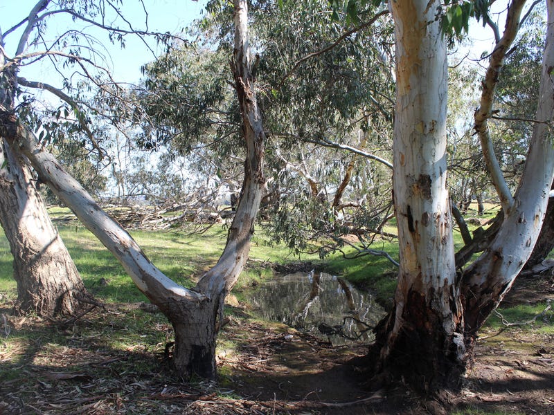 Secluded Acreage with Council Planning 5