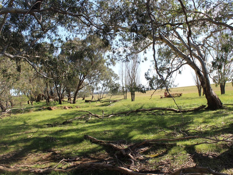 Secluded Acreage with Council Planning 6