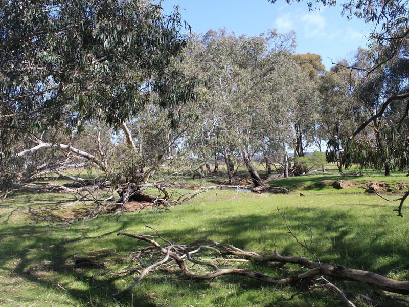 Secluded Acreage with Council Planning 7