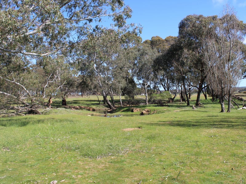 Secluded Acreage with Council Planning 8