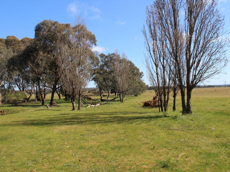Secluded Acreage with Council Planning 9