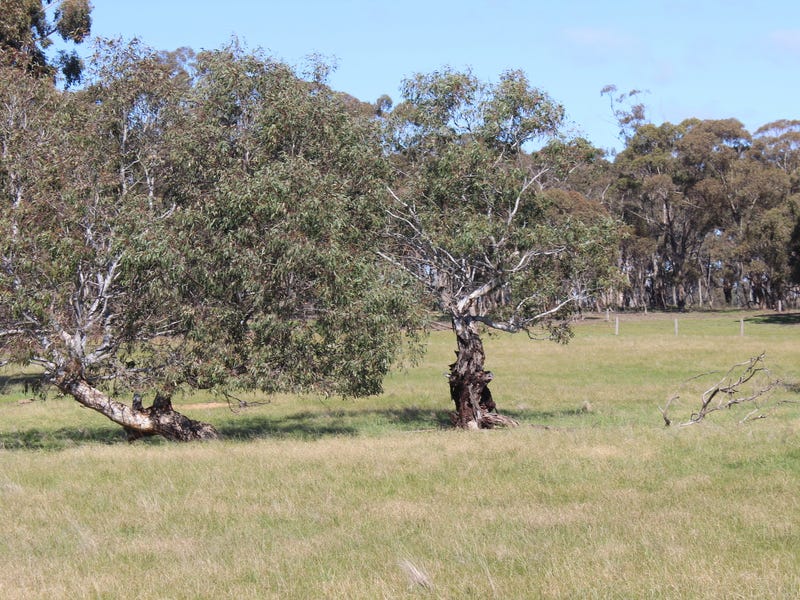 Secluded Acreage with Council Planning 11