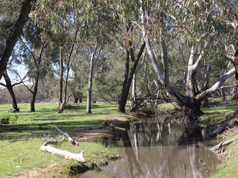 Secluded Acreage with Council Planning 12