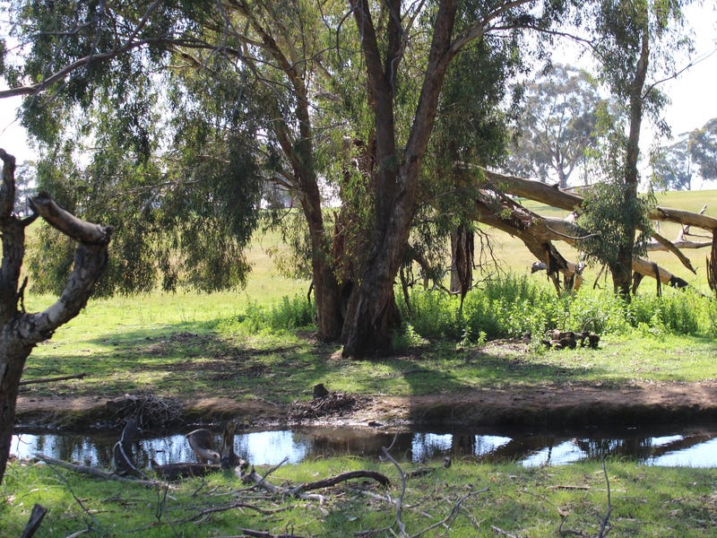 Secluded Acreage with Council Planning 13
