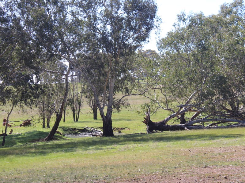 Secluded Acreage with Council Planning 14