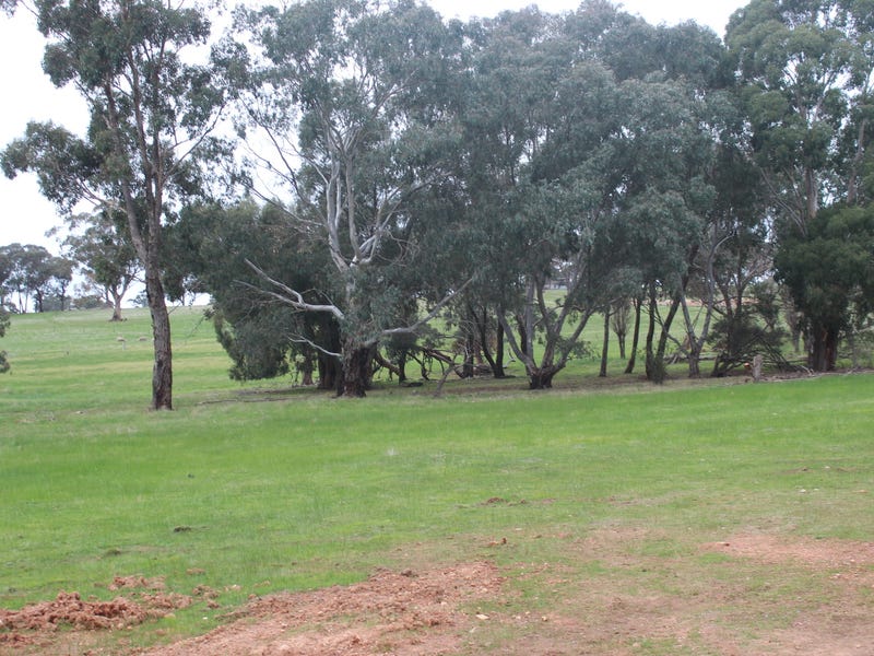 Secluded Acreage with Council Planning 29