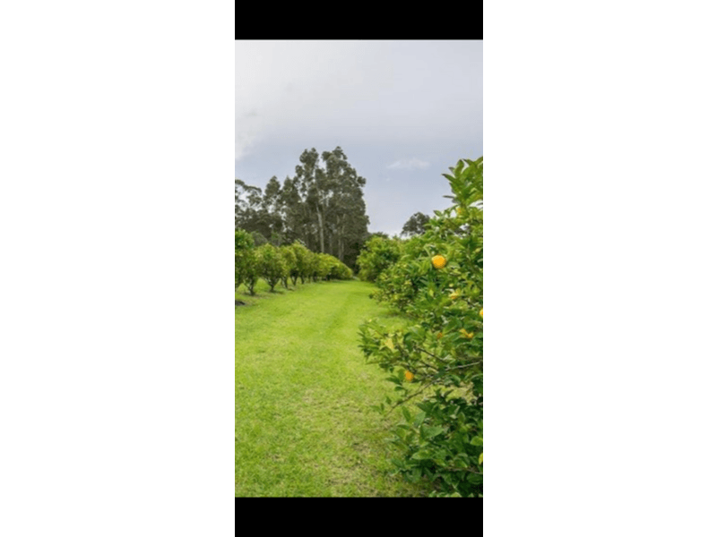 Spacious home on acreage 2