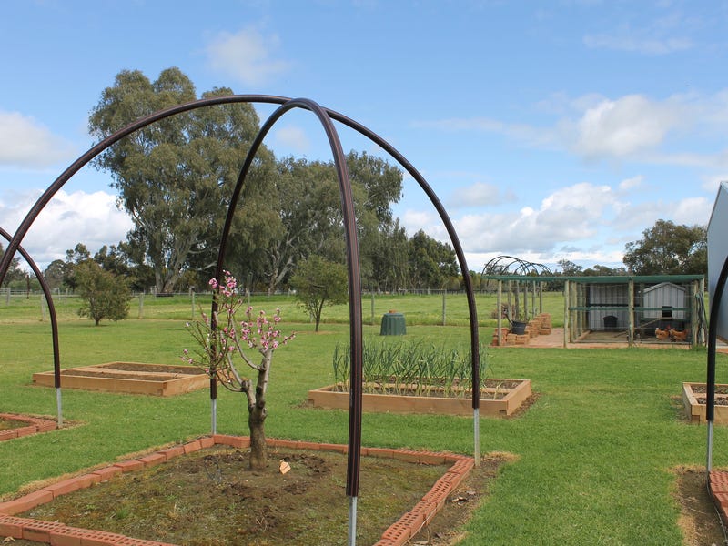 Hobby Farm 7