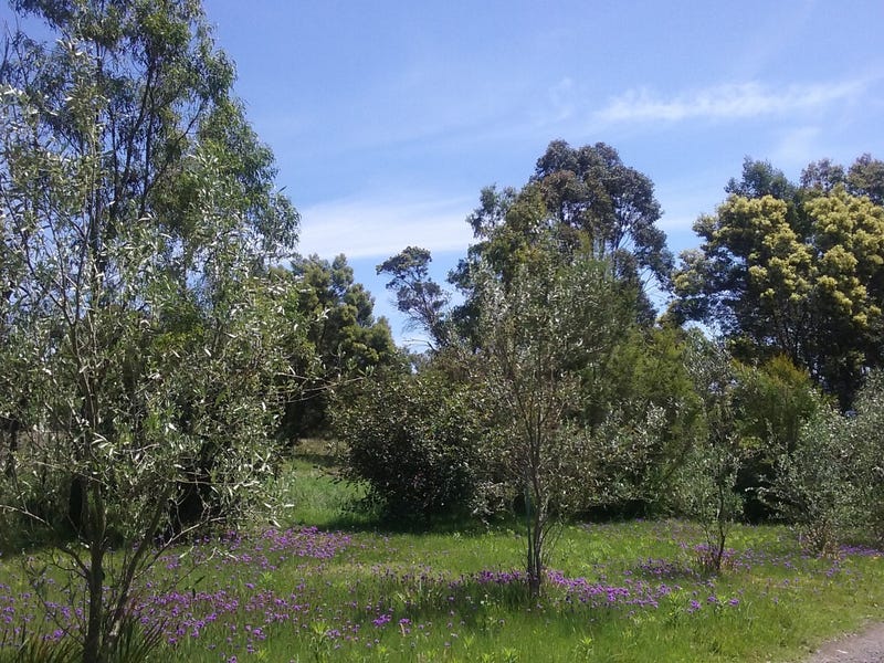 Rich Soils, Fantastic Views 6