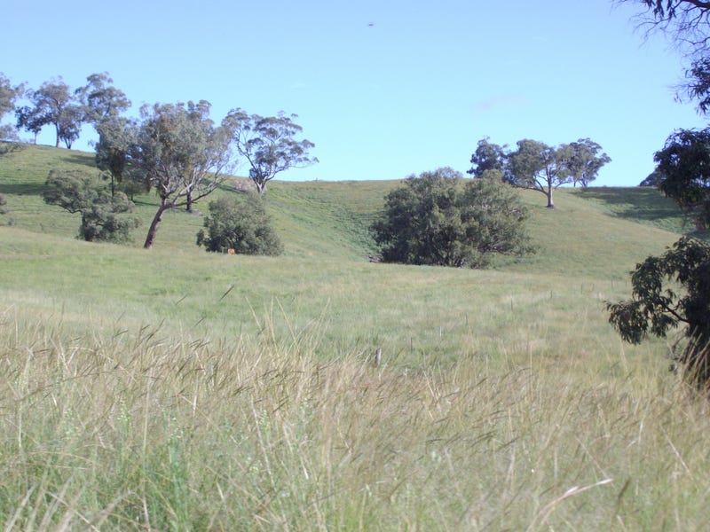 A Very Versatile Property “Coghlan” 2