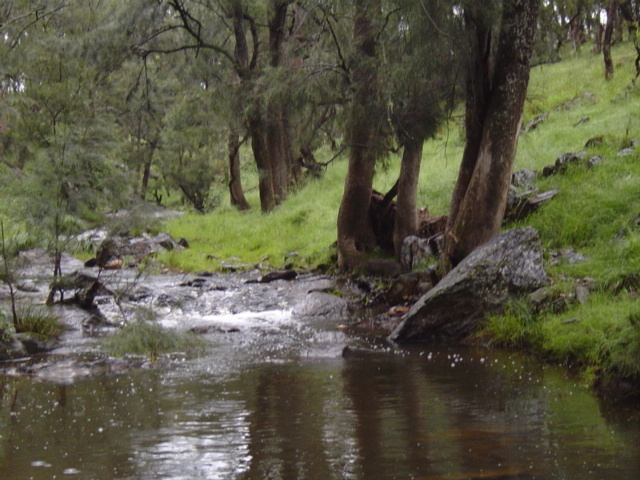 A Very Versatile Property “Coghlan” 5